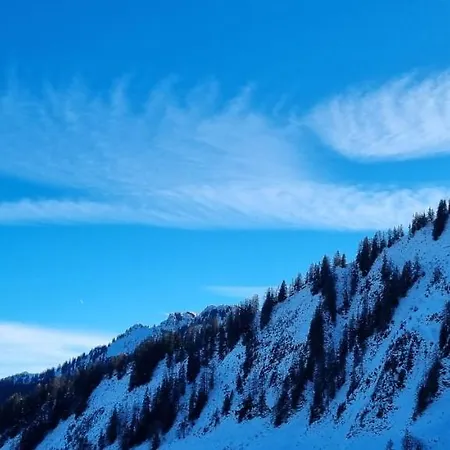 Studio